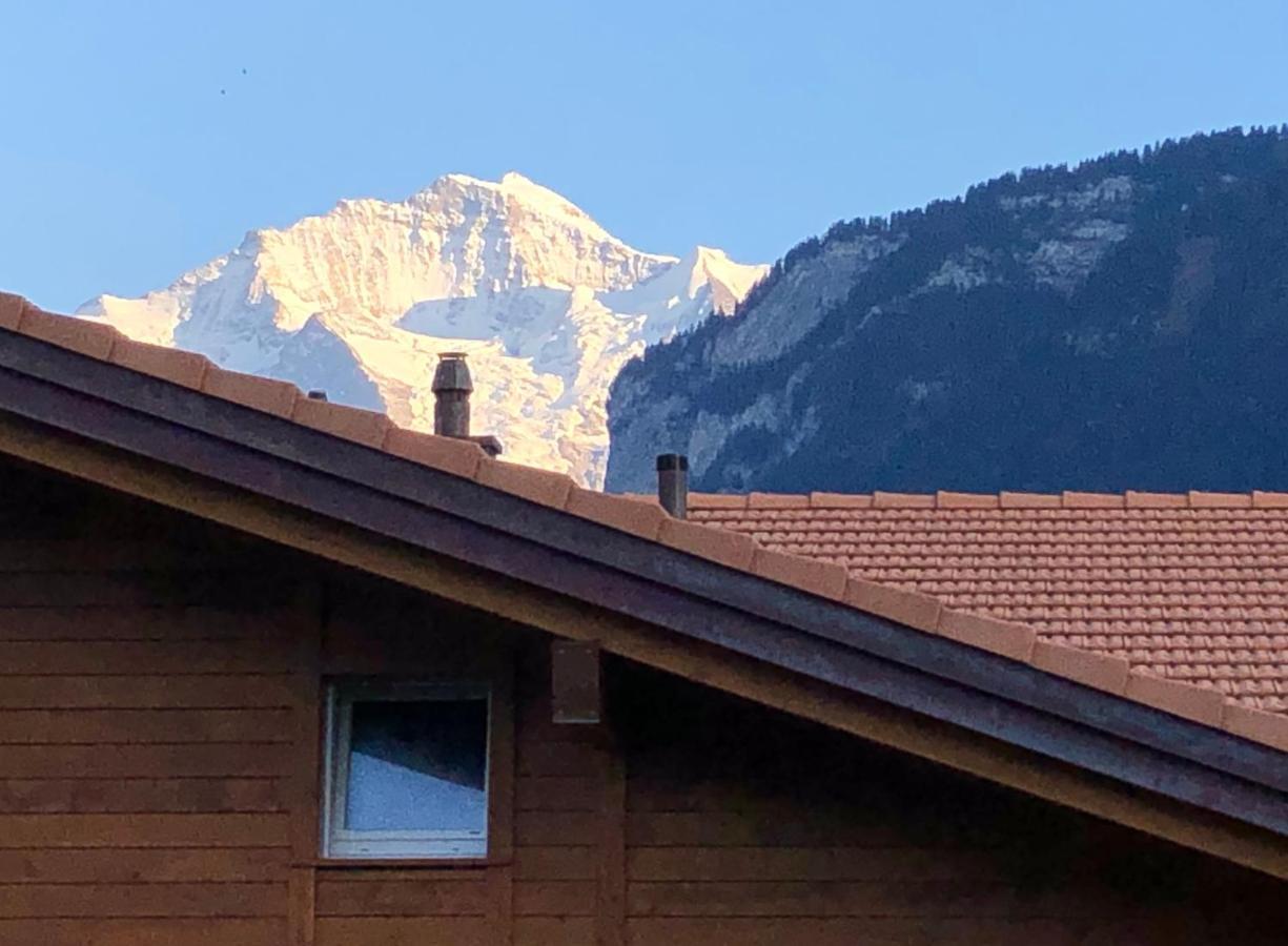 S&P Mountain View Apartment 1 Wilderswil Eksteriør billede