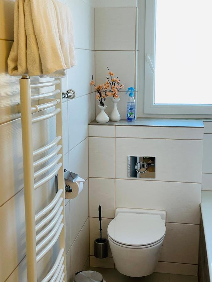 S&P Mountain View Apartment 1 Wilderswil Eksteriør billede