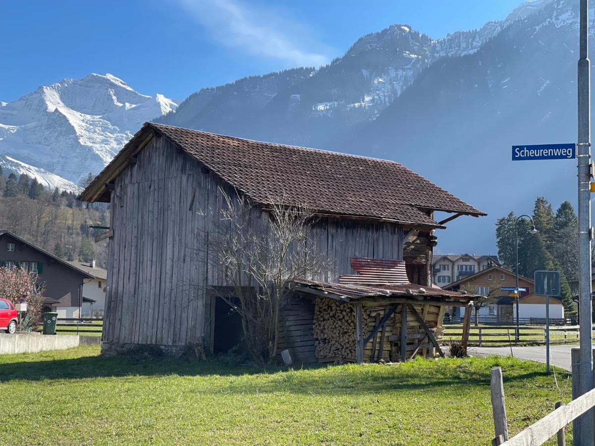 S&P Mountain View Apartment 1 Wilderswil Eksteriør billede